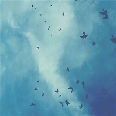 凤凰彩票最新版安卓版截图