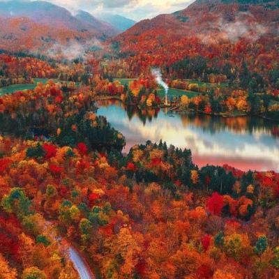 金星棋牌手机app下载