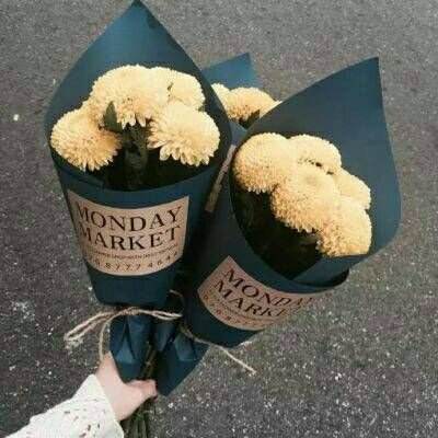 真人百家家乐网站