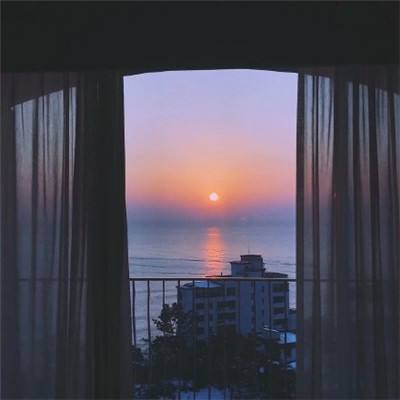 香港2023正版免费资料